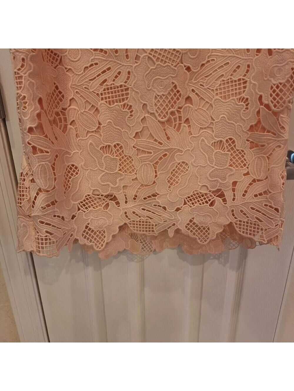 LELA ROSE~LEAF GUIPURE LACE RUFFLE SKIRT DRESS~MIDI~BLUSH~SZ 12~EUC - Picture 6 of 9